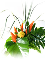 คำอธิบาย: http://www.suandusitcuisine.com/food4/central/images/salak/salakpic5.jpg